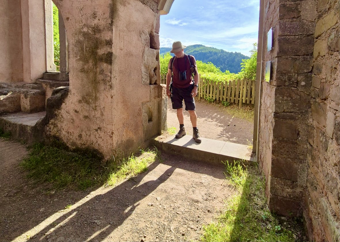 Uitgeverij Zilverbron – Johanna Lime, image size:1181x841